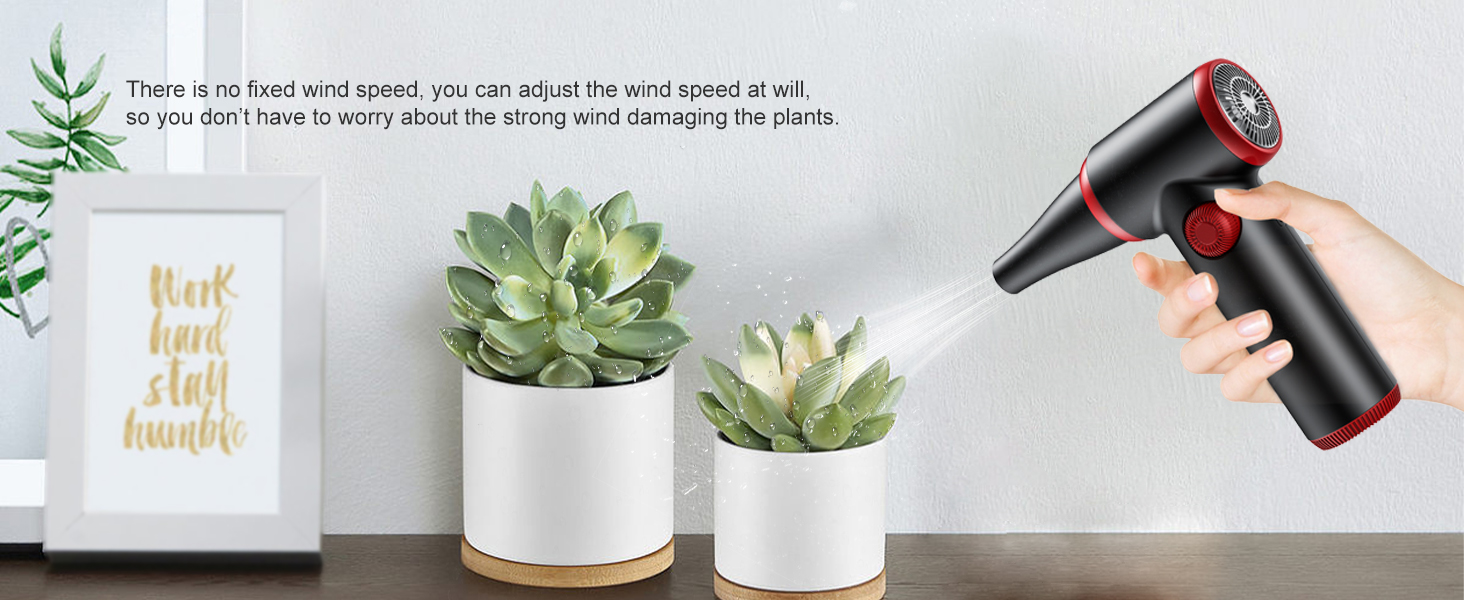 TAD072A+3多肉 拷贝